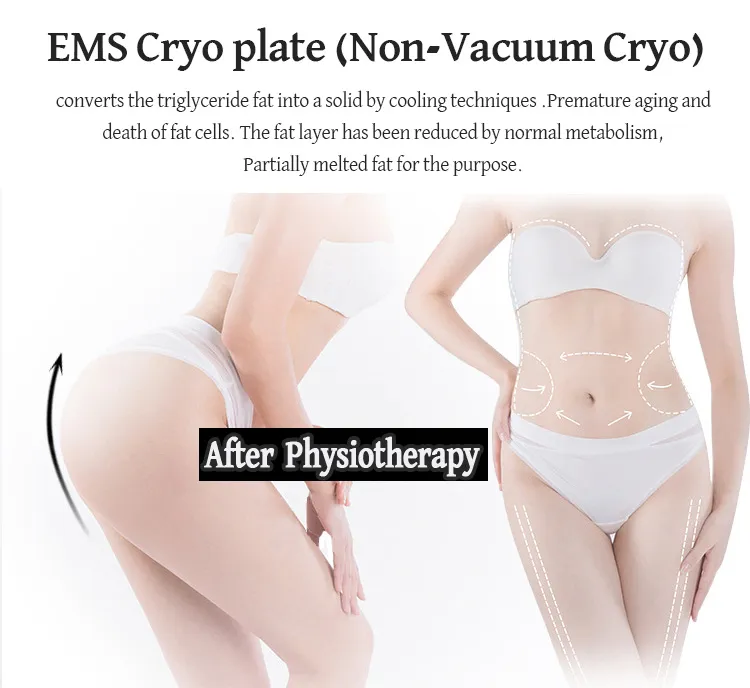 Portable Fat Freezing Machine Slimming Fat Cellulite Removal Cryotherapy Device Cryo Plates With EMS