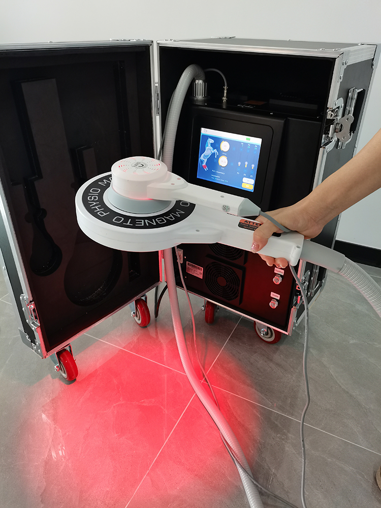 Extracorporeal Magnetotherapy Magnetic Horse Treatment Pemf Physiotherapy Animal Care Machine