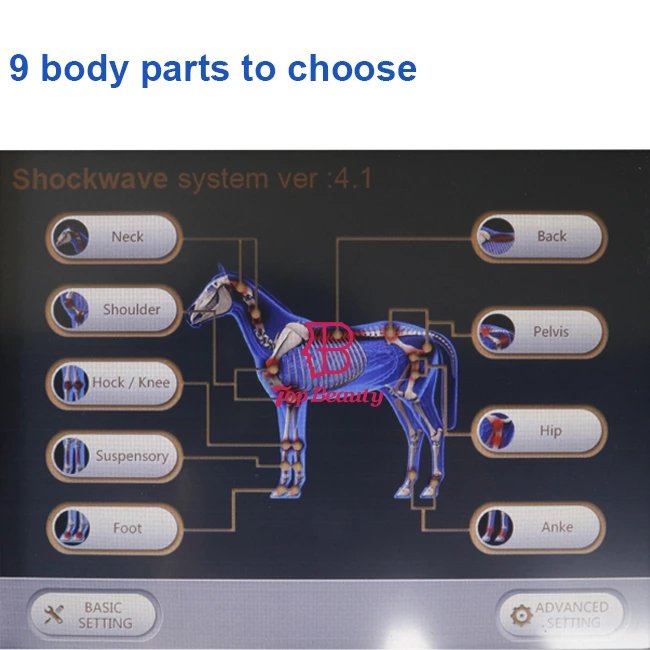 Shockwave Horse Therapy Pet Health Care Shock Wave Animal Health Care Products Machine