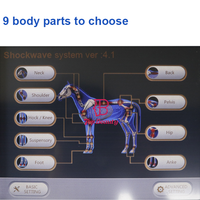 Shockwave Horse Therapy Pet Health Care Shock Wave Animal Health Care Products Machine
