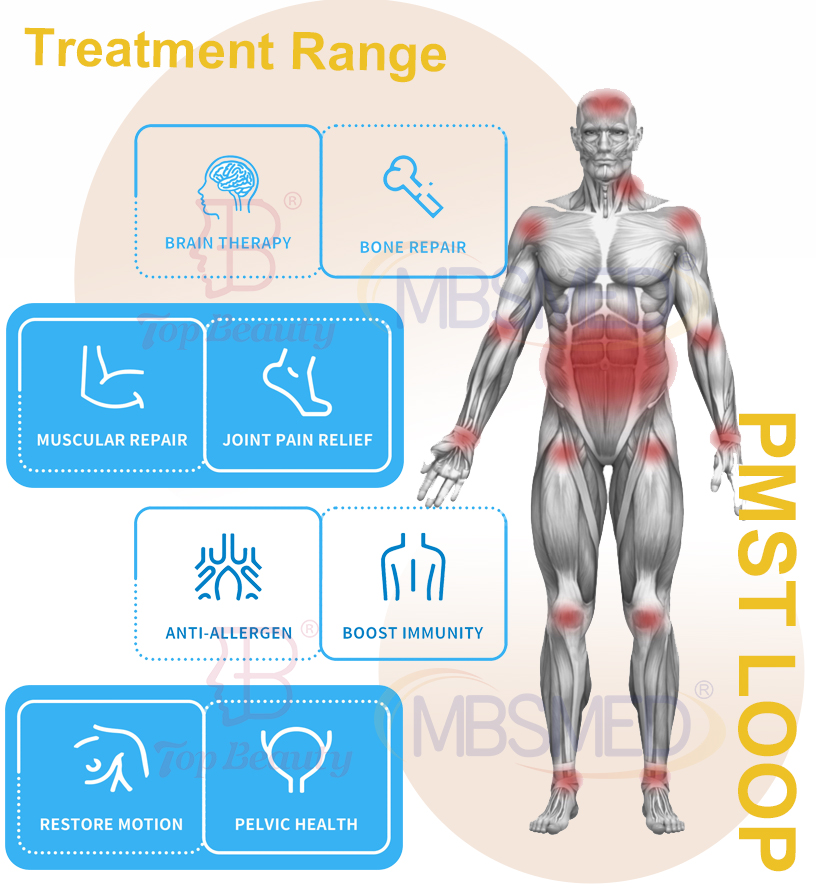 Emtt Physio Magneto Therapy Machine Portable 2024 Physio Magneto Physiotherapy for pain relief