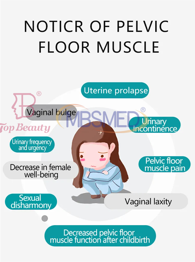 Pelvic Floor Muscles Chair Cushion Chair Treatment Pelvic Floor Repair EMS Pelvic Floor Chair