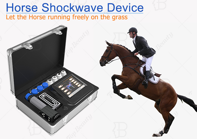 Shockwave Horse Therapy Pet Health Care Shock Wave Animal Health Care Products Machine