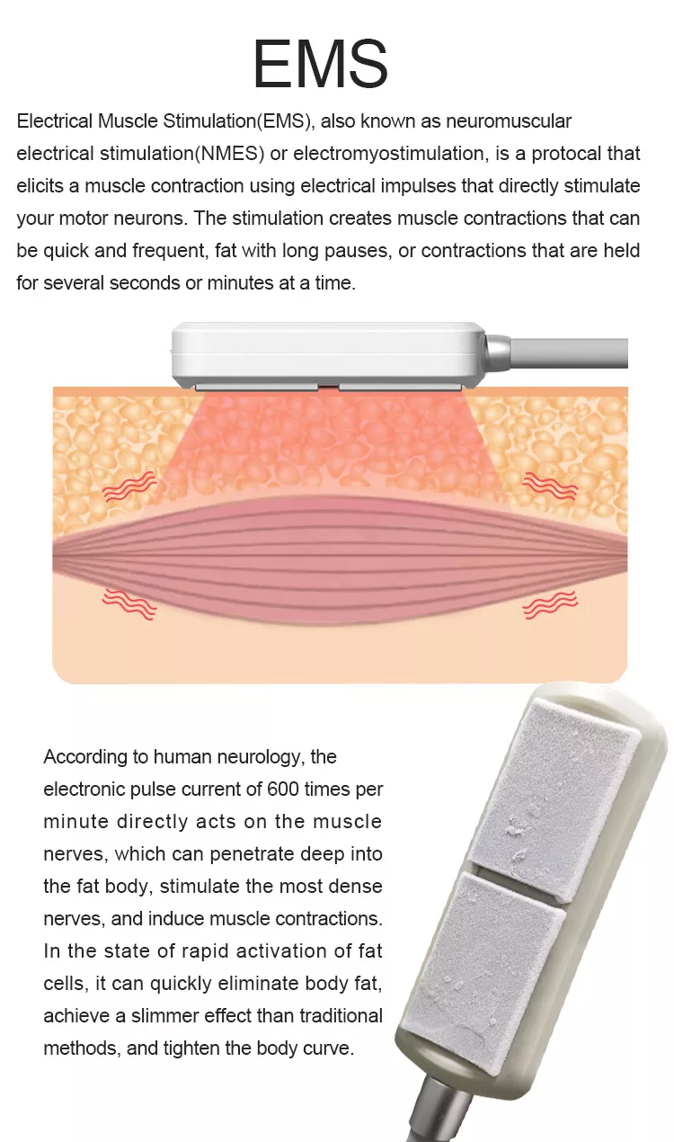 2023 New Painless Cryolipolysis Belly Slimming Cryo Plate Cooling Pads Fat Freezing EMS Machine