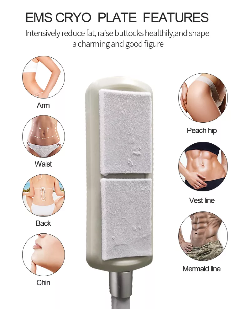 2023 New Painless Cryolipolysis Belly Slimming Cryo Plate Cooling Pads Fat Freezing EMS Machine