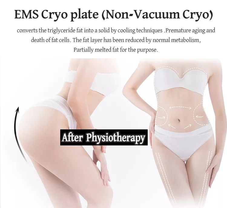2023 New Painless Cryolipolysis Belly Slimming Cryo Plate Cooling Pads Fat Freezing EMS Machine