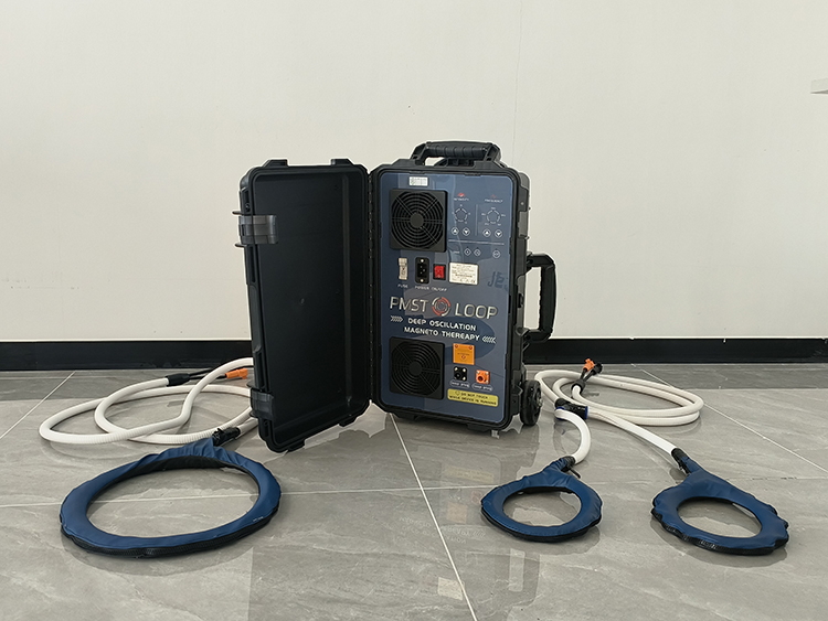 Pemf Vet Magneto Therapy Plus Physical Rehabilitation Magnetotherapy machine
