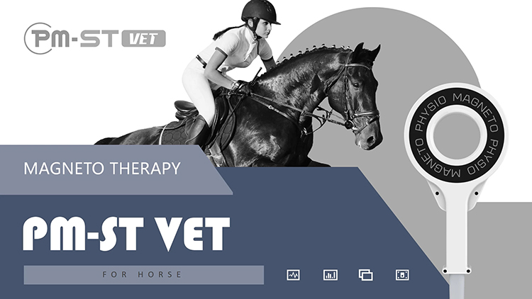 Extracorporeal Magnetotherapy Magnetic Horse Treatment Pemf Physiotherapy Animal Care Machine