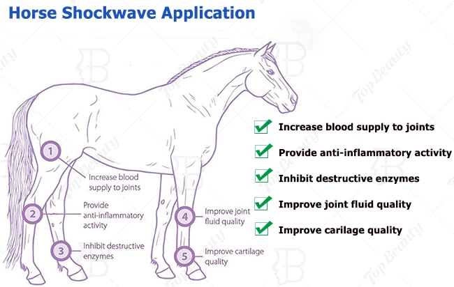 Shockwave Horse Therapy Pet Health Care Shock Wave Animal Health Care Products Machine