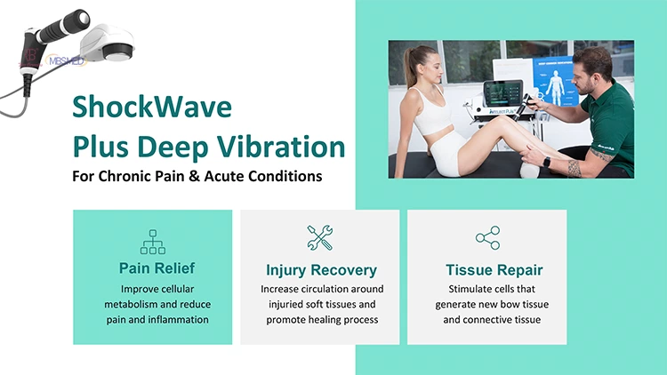 Oceanus Physio Pro Acoustic Radial Pulse Shock Wave Therapy