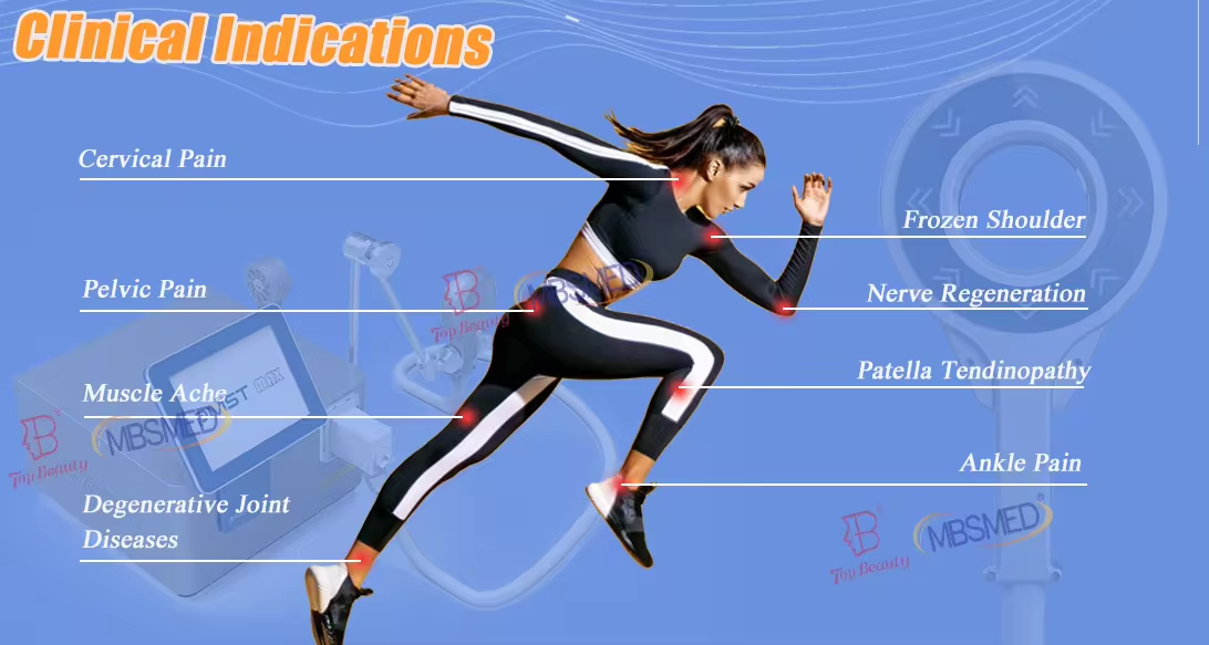 Extracorporeal Magneto-Transduction Therapy CE Certified Body Application Therapy with Pulsed Physio Magnetic Therapy