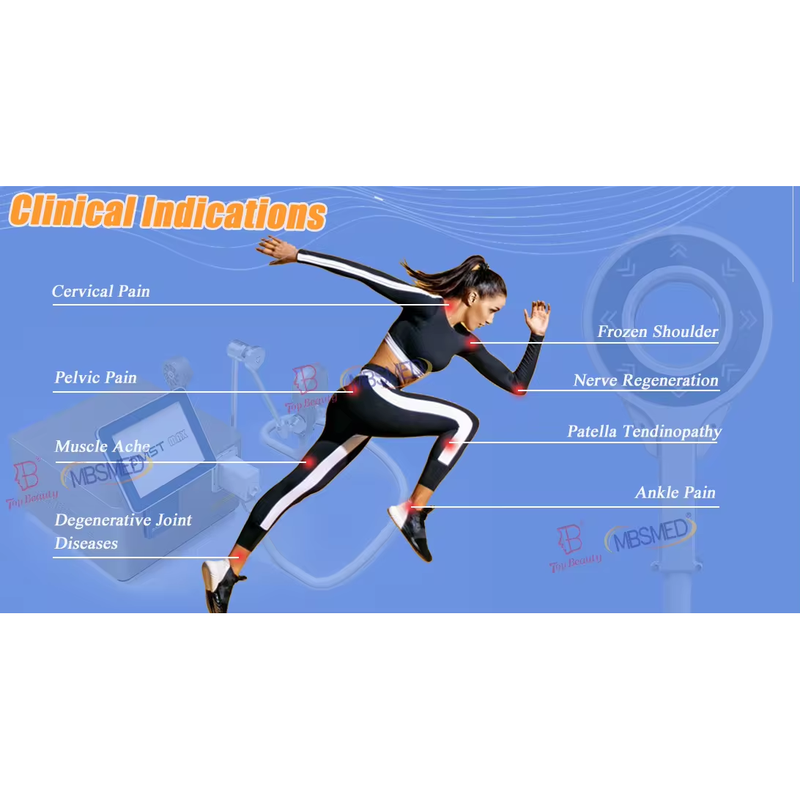 Extracorporeal Magneto-Transduction Therapy CE Certified Body Application Therapy with Pulsed Physio Magnetic Therapy