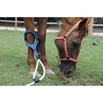 Pemf Vet Magneto Therapy Plus Physical Rehabilitation Magnetotherapy machine
