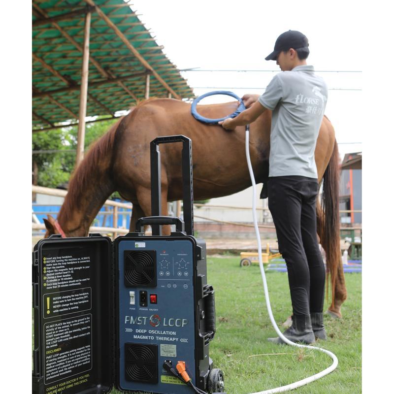 Pemf Vet Magneto Therapy Plus Physical Rehabilitation Magnetotherapy machine