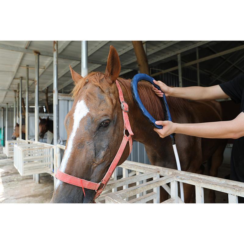 Pemf Vet Magneto Therapy Plus Physical Rehabilitation Magnetotherapy machine