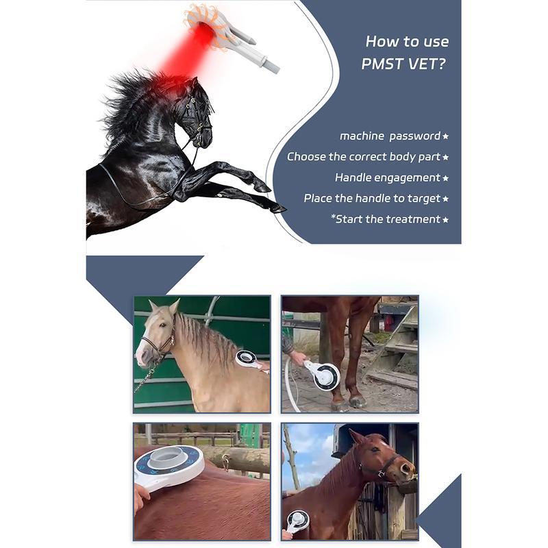Extracorporeal Magnetotherapy Magnetic Horse Treatment Pemf Physiotherapy Animal Care Machine
