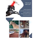 Extracorporeal Magnetotherapy Magnetic Horse Treatment Pemf Physiotherapy Animal Care Machine