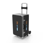 Extracorporeal Magnetotherapy Magnetic Horse Treatment Pemf Physiotherapy Animal Care Machine