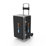 Extracorporeal Magnetotherapy Magnetic Horse Treatment Pemf Physiotherapy Animal Care Machine