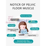 Pelvic Floor Muscles Chair Cushion Chair Treatment Pelvic Floor Repair EMS Pelvic Floor Chair