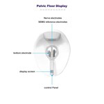 Electromagnetic Muscle Repair Ems Hips Trainer Chair For Pelvic Floor Muscle Urinary Incontinence
