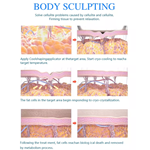 New arrivals 2022 portable cryolipolysis 360 fat freezing cool body sculpting machine / 360 cryolipolisis machine
