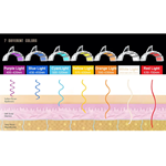 Professional 7 colors pdt facial beauty facial care led light therapy skin rejuvenation