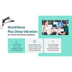 Oceanus Physio Pro Acoustic Radial Pulse Shock Wave Therapy