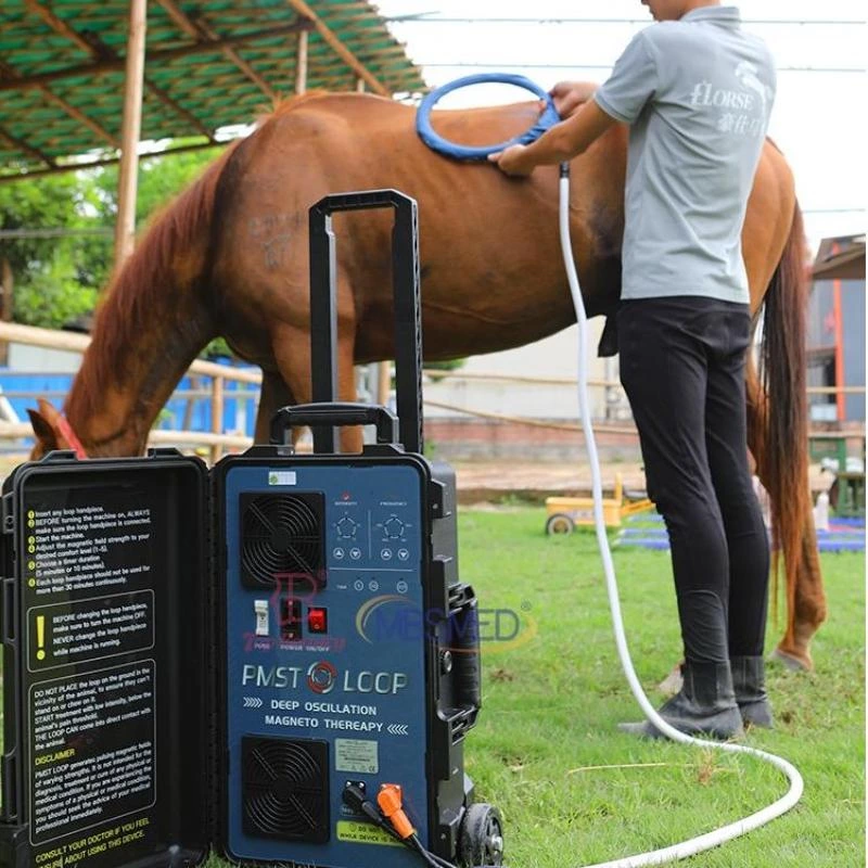VET Magneto Therapy