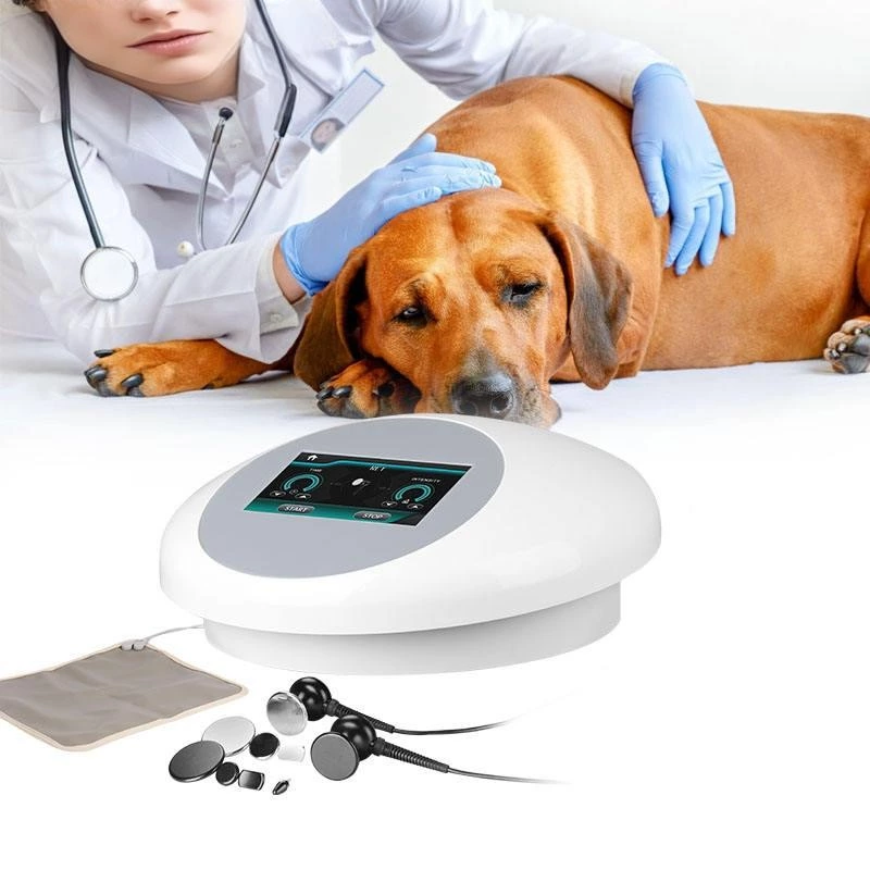 VET Tecar Therapy