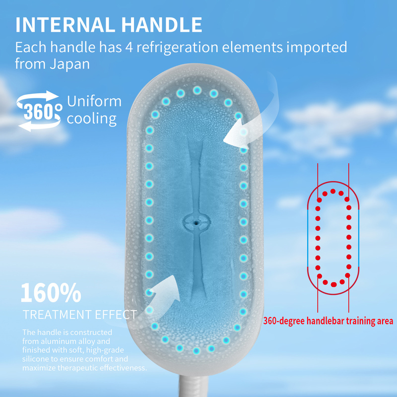 360 Cryolipolysis Fat Loss Dual Cooling machine with 4 handpieces
