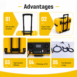 Portable Pulsed Therapy Adjustable Intensity Magnetic Field Device for Physiotherapy Use