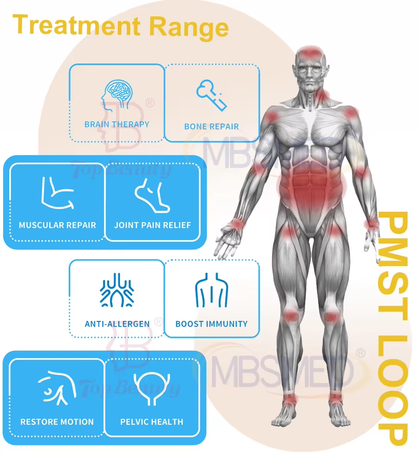 Portable Pulsed Therapy Adjustable Intensity Magnetic Field Device for Physiotherapy Use