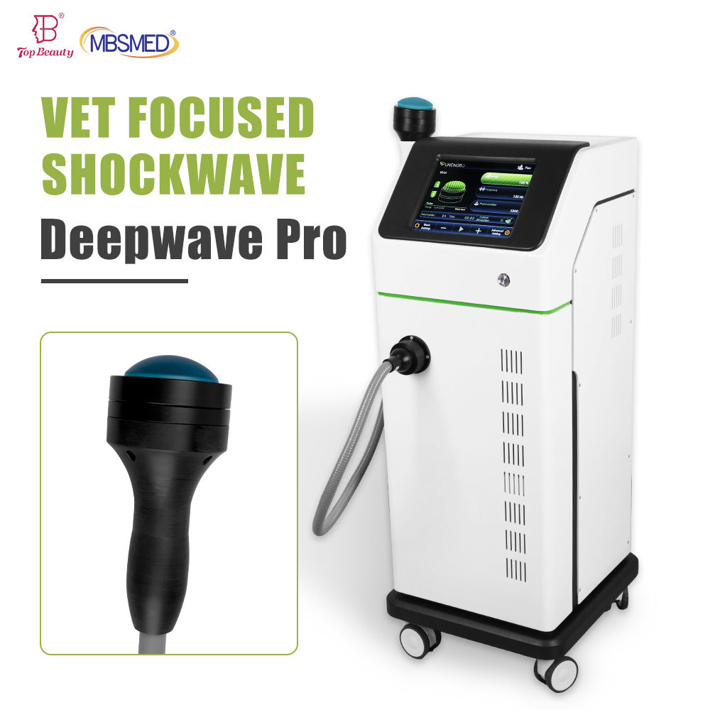 Electromagnetic Focused Shockwave Therapy Machine 500,000 Shots