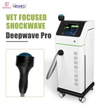 Electromagnetic Focused Shockwave Therapy Machine 500,000 Shots