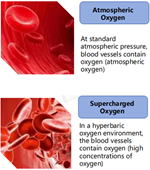 personal & clinic use Sitting Type Hyperbaric Oxygen Chamber