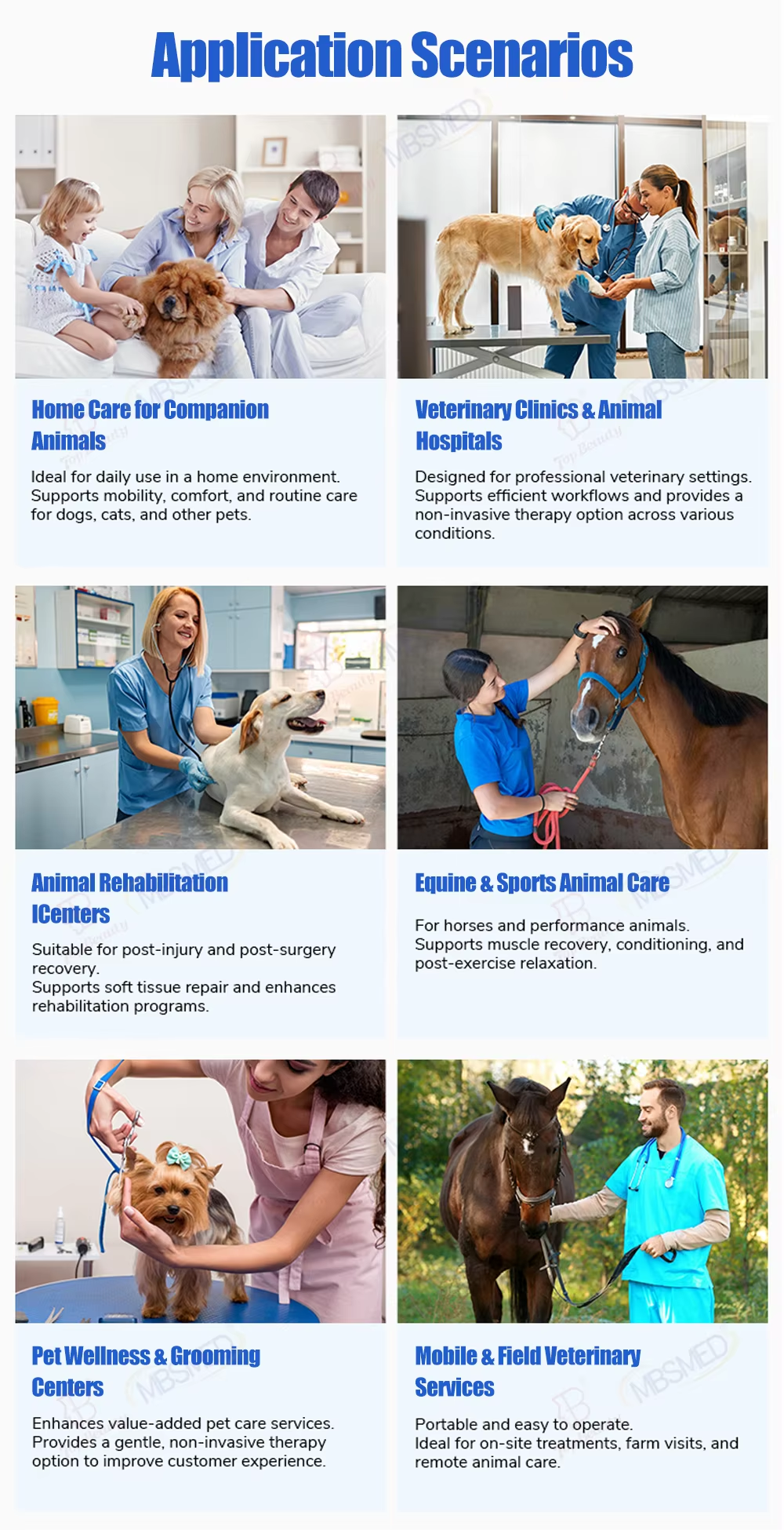 Professional Portable 980nm Pet Laser Therapy Equipment