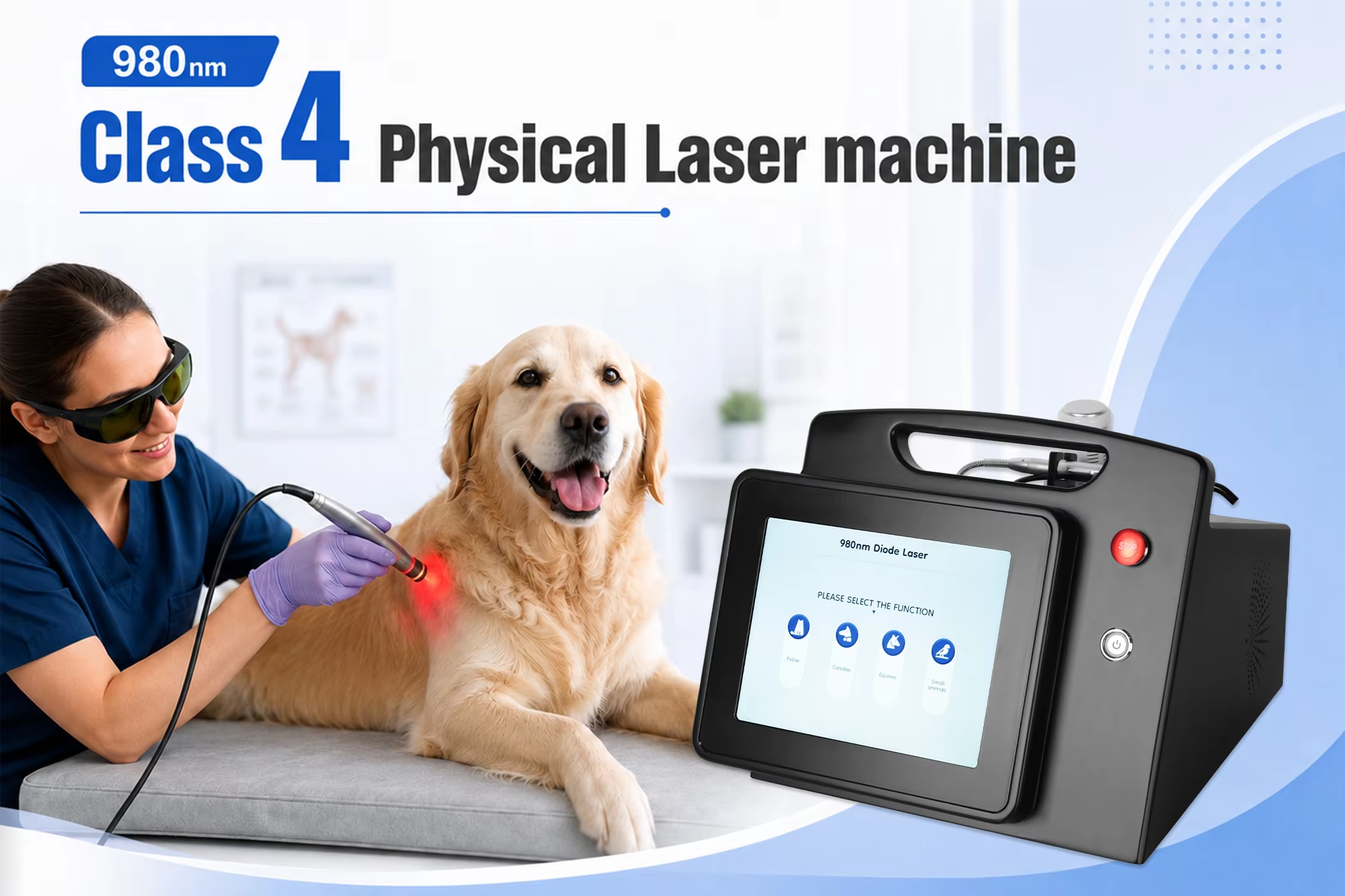 Professional Portable 980nm Pet Laser Therapy Equipment