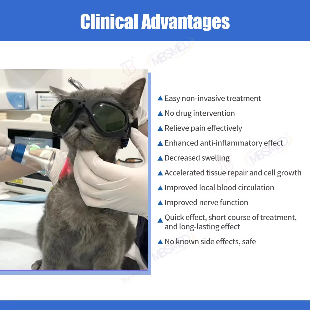 Professional Portable 980nm Pet Laser Therapy Equipment