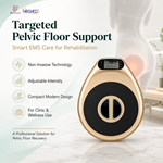 Portable Pelvic Floor Muscles Chair Cushion EMS Pelvic Floor Chair