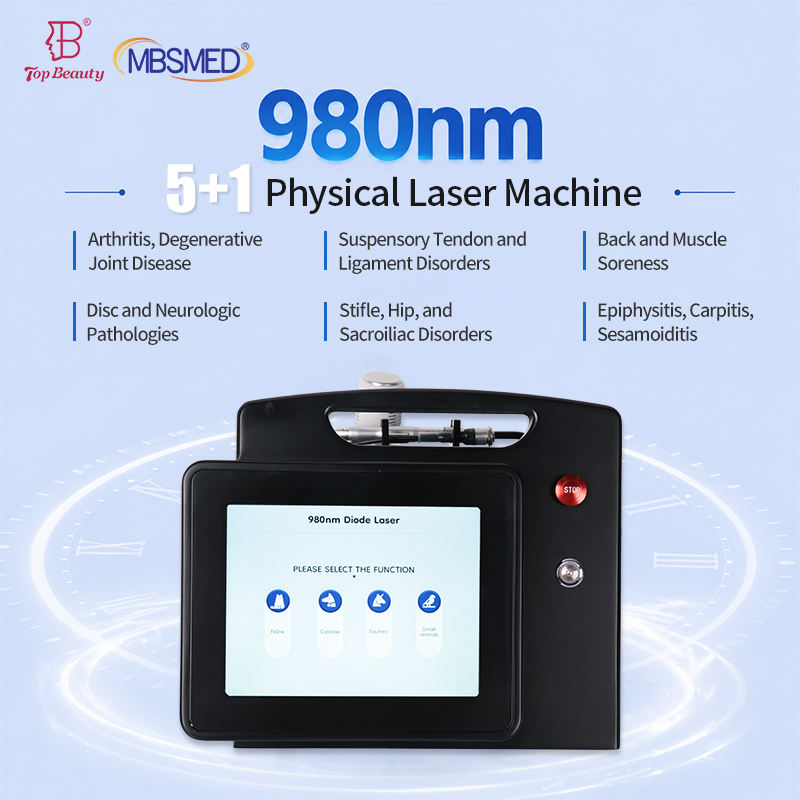 Professional Portable 980nm Pet Laser Therapy Equipment