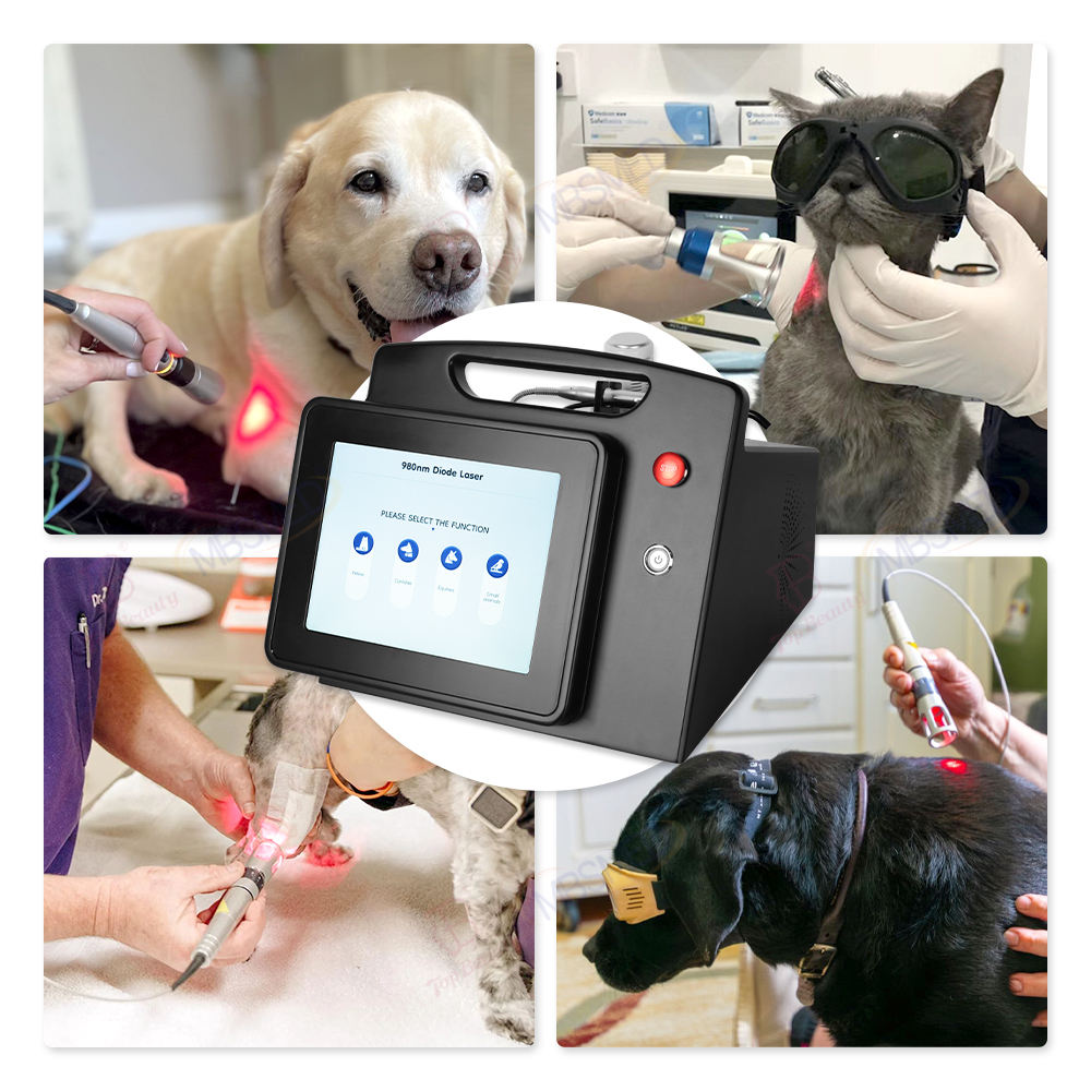 Professional Portable 980nm Pet Laser Therapy Equipment